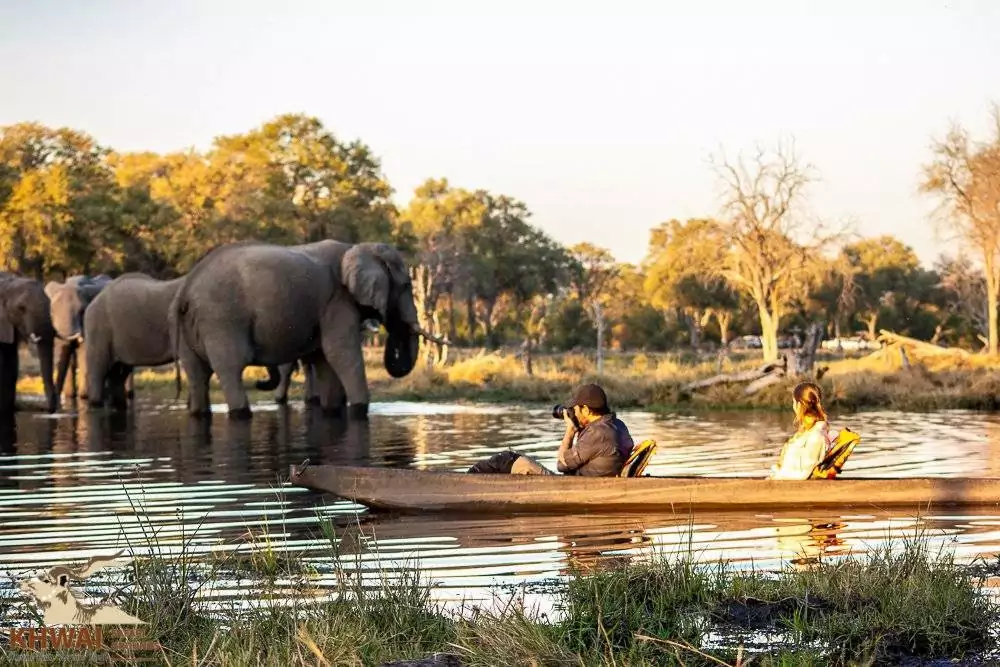 okavango delta safari