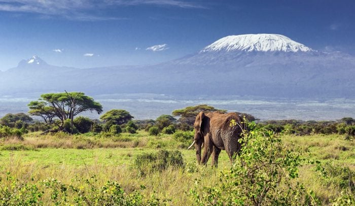 Explore National Parks and UNESCO Sites in Africa